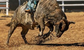 World's Toughest Rodeo tickets