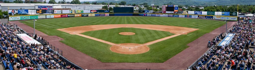 Binghamton Rumble Ponies Tickets