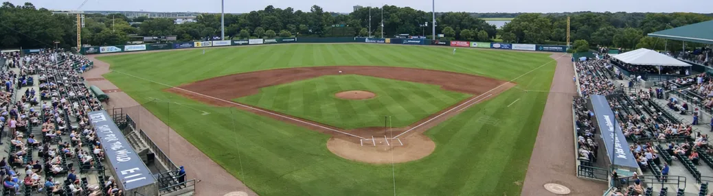 Charleston RiverDogs Tickets