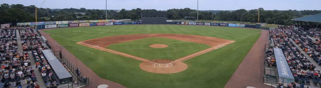 Delmarva Shorebirds Tickets