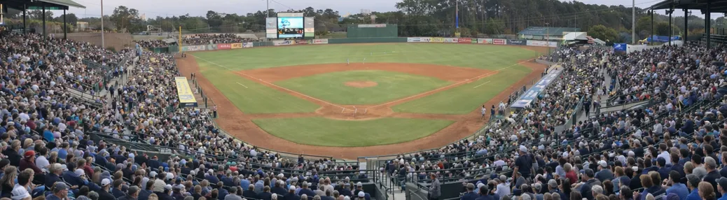 Myrtle Beach Pelicans Tickets