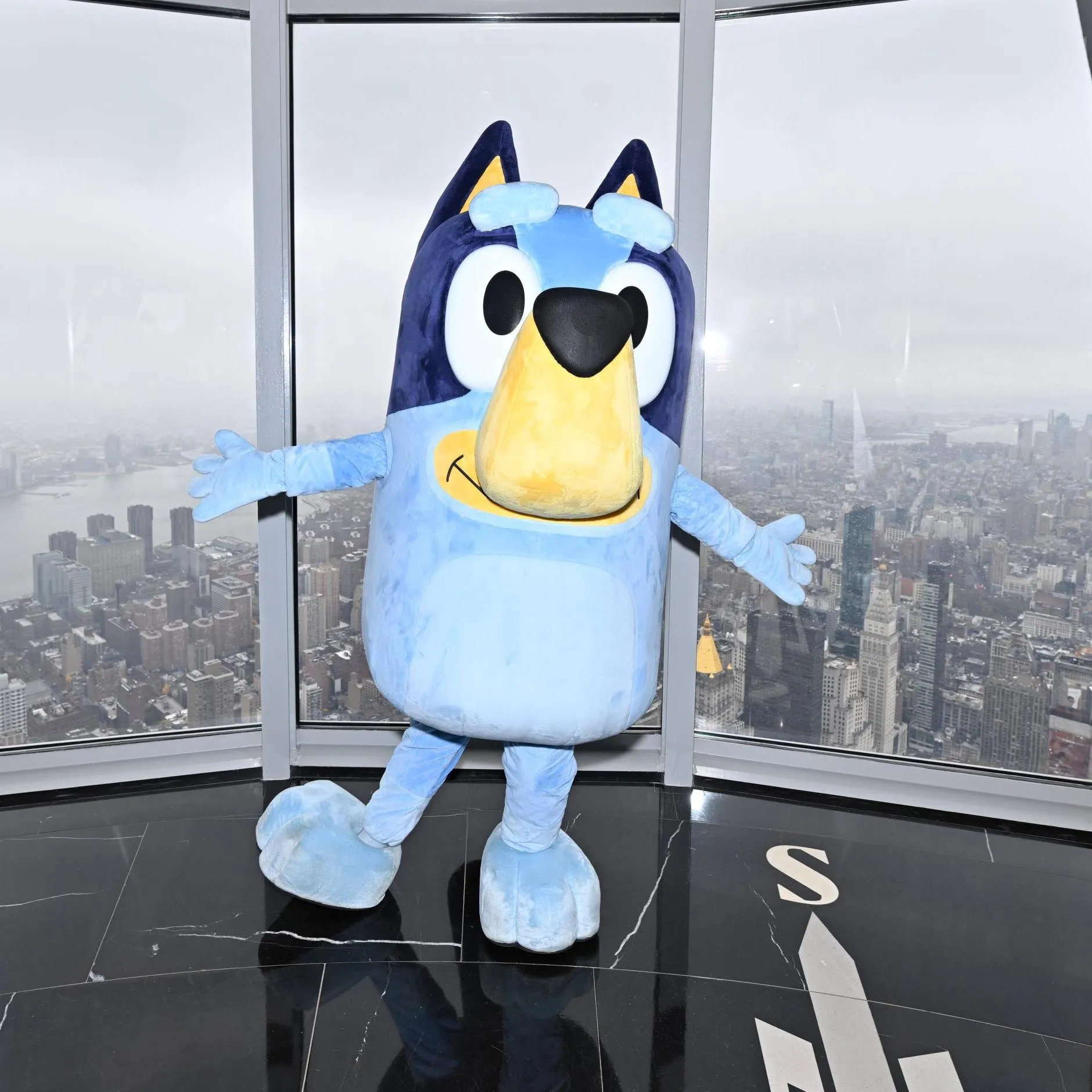 Bluey - Official Ticket Resale Marketplace