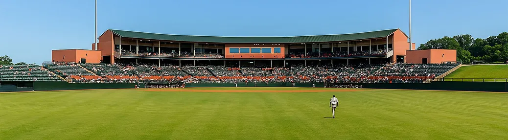 Arthur W. Perdue Stadium Tickets

                