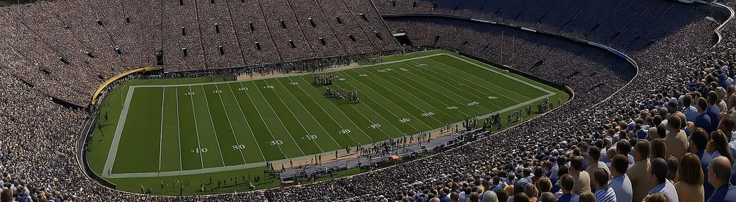 Tiger Stadium - Baton Rouge Tickets

                