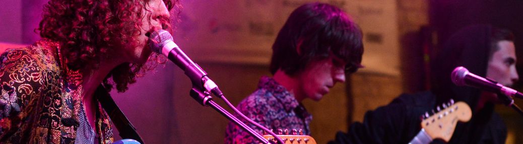 Vinyl Williams Tickets