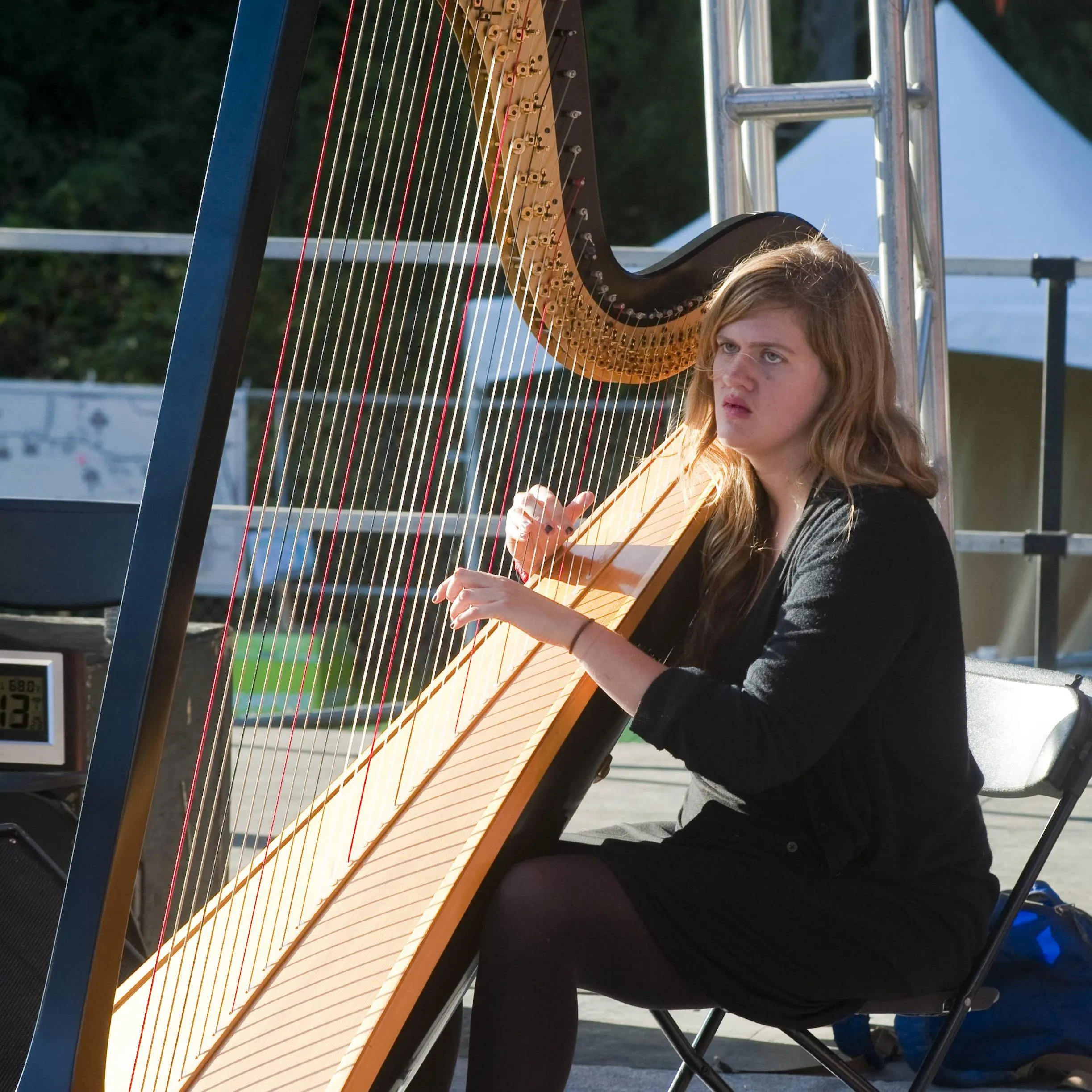 Mary Lattimore - Official Ticket Resale Marketplace